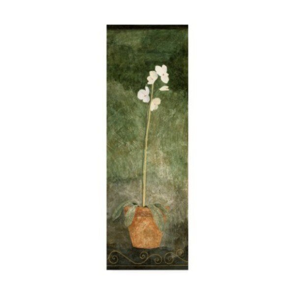 Pablo Esteban 'White Orchid In Pot On Green' Canvas Art, 16x47, Trademark Fine Art, Mfr#: ALI46103-C1647GG